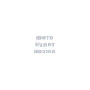 М42303 250-0-250В